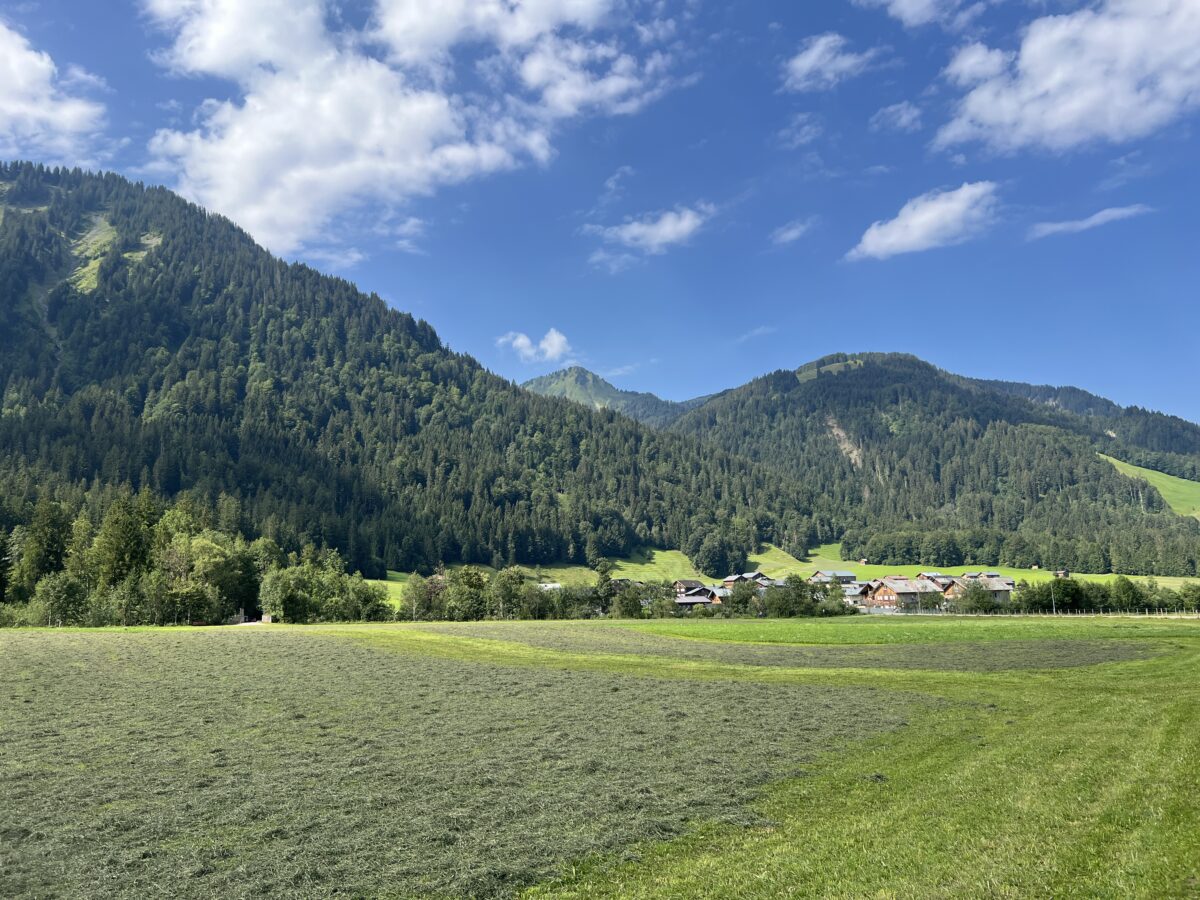 IMG_8991