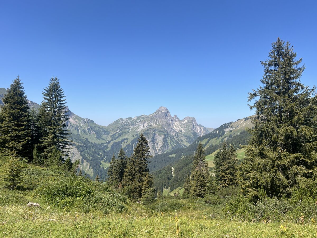 IMG_9055